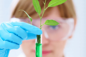 female scientist wearing a lab coat, protective goggles, and gloves extracting medicinal compounds from a plant using a vile filled with a gel compound.