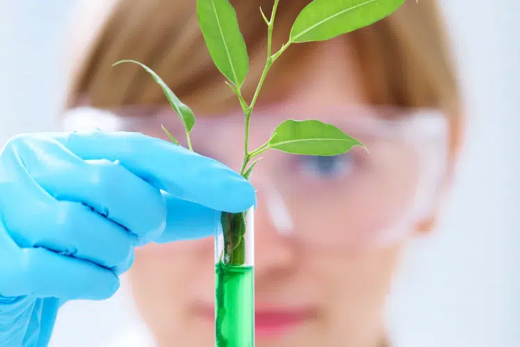 female scientist wearing a lab coat, protective goggles, and gloves extracting medicinal compounds from a plant using a vile filled with a gel compound.